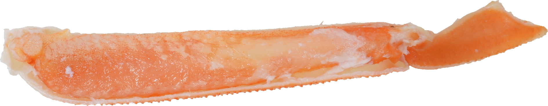 ずわいがに｜商用可フリー画像・背景透過