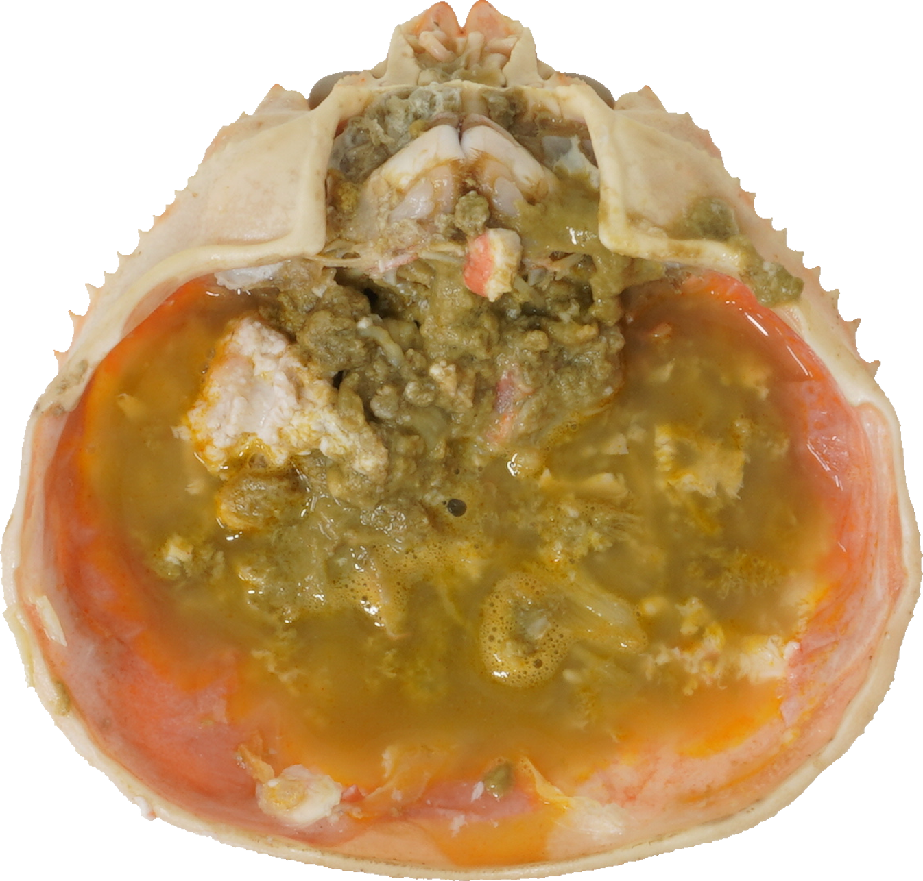 ずわいがに｜商用可フリー画像・背景透過