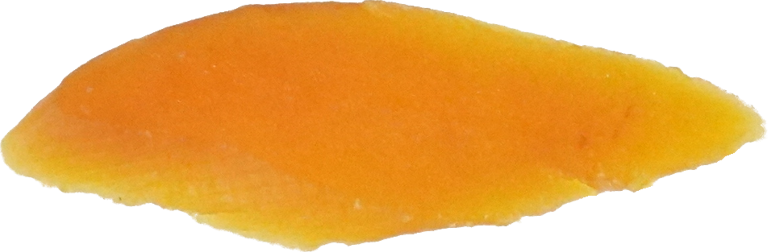 ぼら（からすみ）｜商用可フリー画像・背景透過