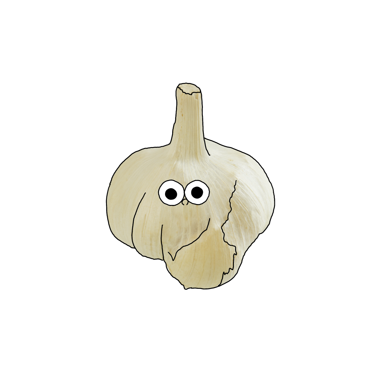 にんにくのイラスト｜商用可フリー画像・背景透過