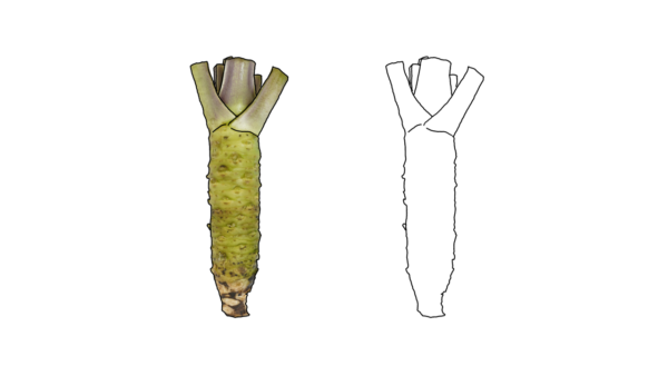 食べ物の塗り絵｜商用可フリー画像・背景透過