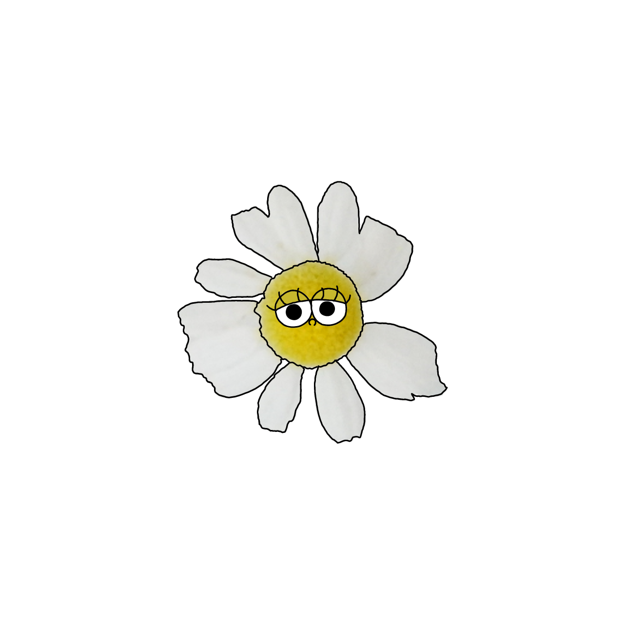 カモミールのイラスト｜商用可フリー画像・背景透過