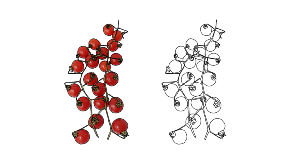 食べ物の塗り絵｜商用可フリー画像・背景透過