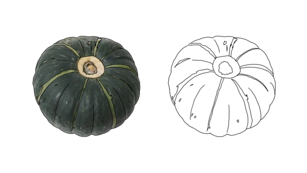 食べ物の塗り絵｜商用可フリー画像・背景透過