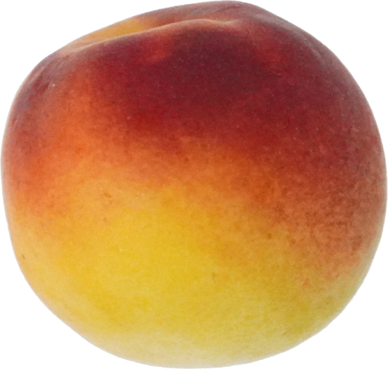 うめ｜商用可フリー画像・背景透過