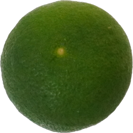 すだち｜商用可フリー画像・背景透過