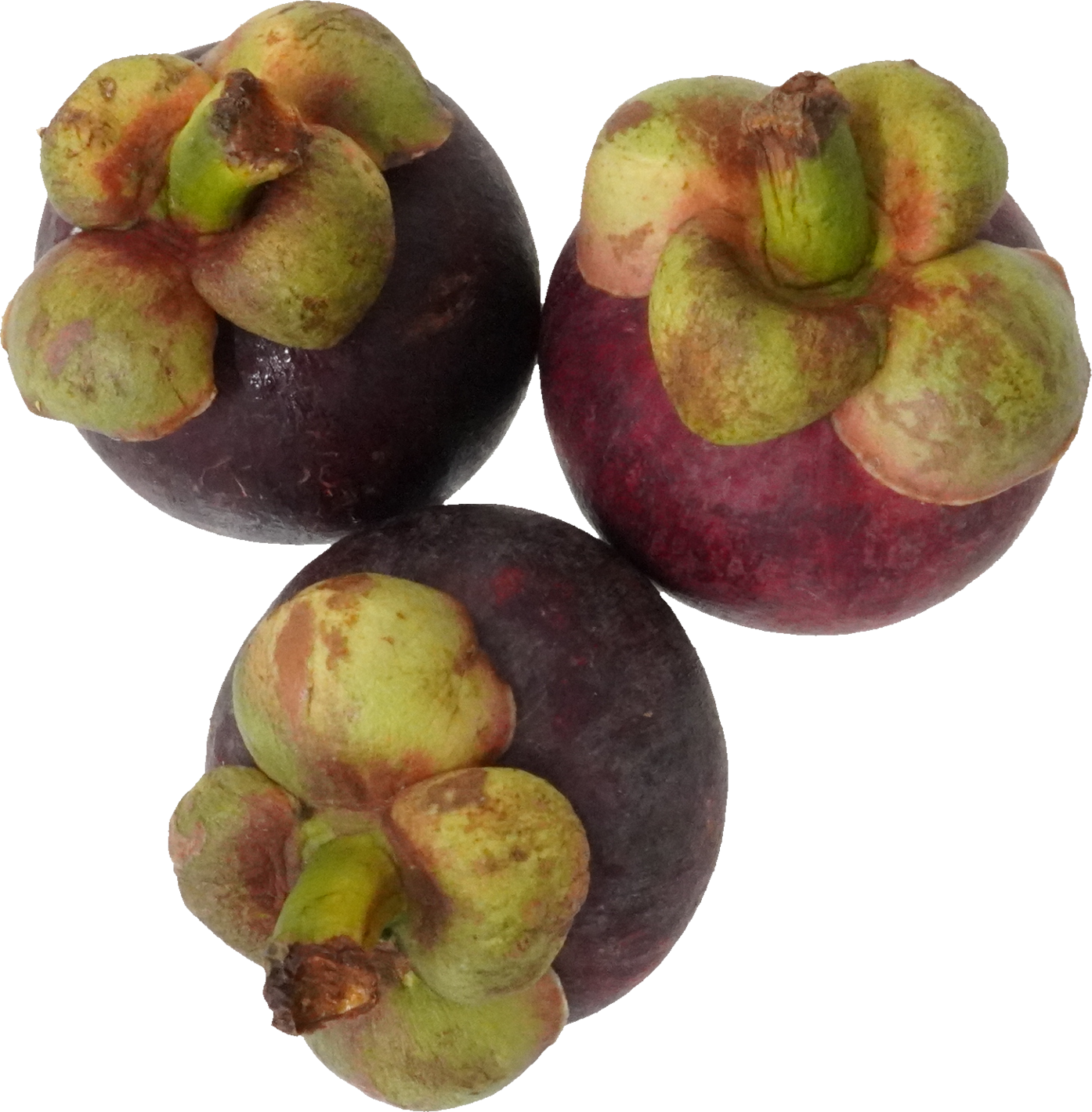 マンゴスチン｜商用可フリー画像・背景透過