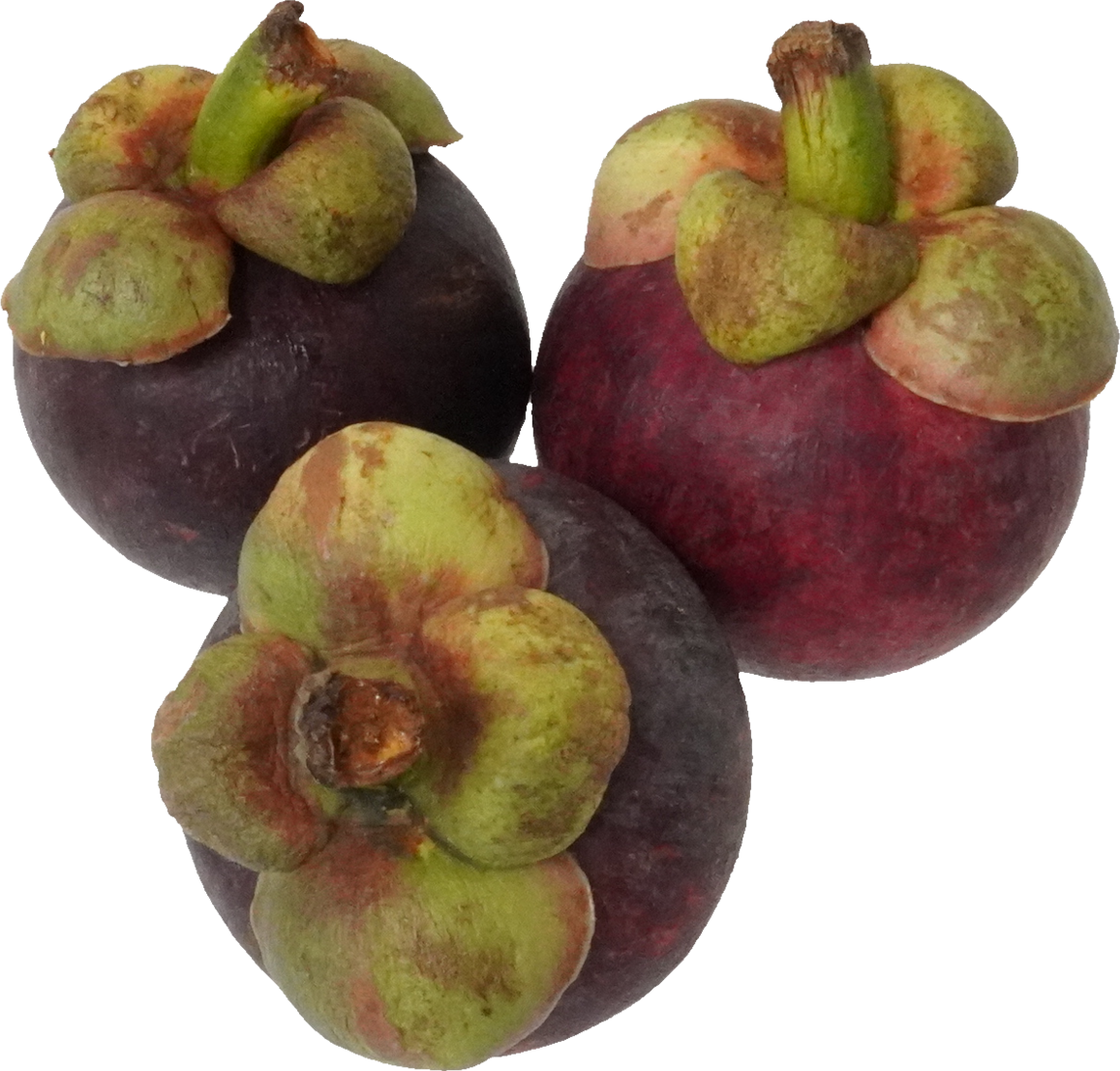 マンゴスチン｜商用可フリー画像・背景透過