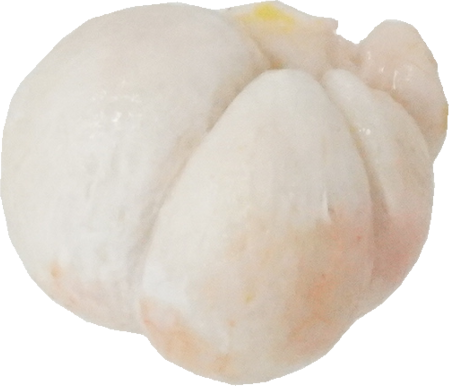 マンゴスチン｜商用可フリー画像・背景透過