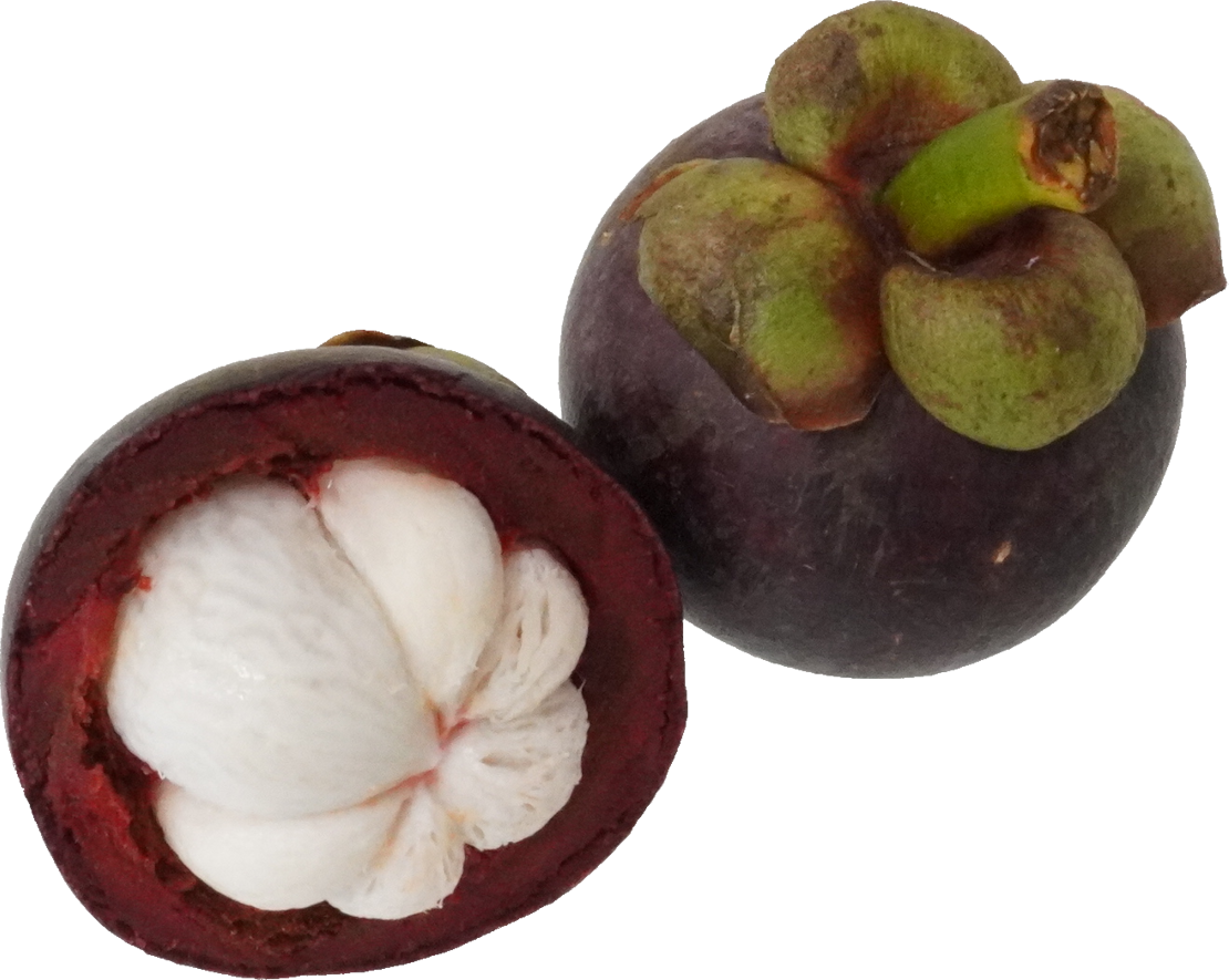 マンゴスチン｜商用可フリー画像・背景透過