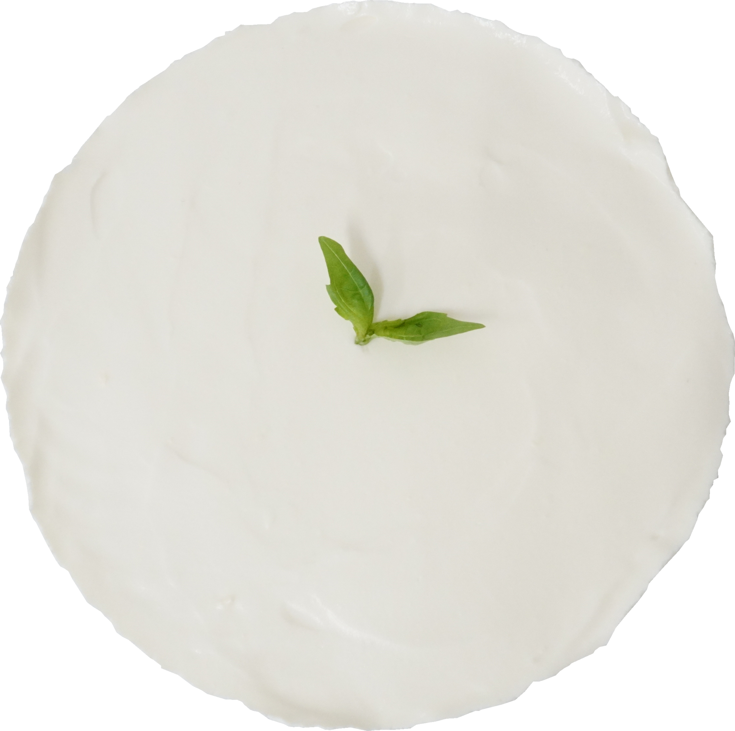 レアチーズケーキ｜商用可フリー画像・背景透過