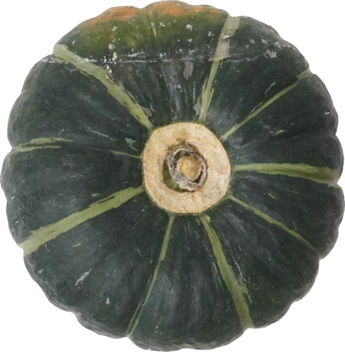 かぼちゃ｜商用可フリー画像・背景透過