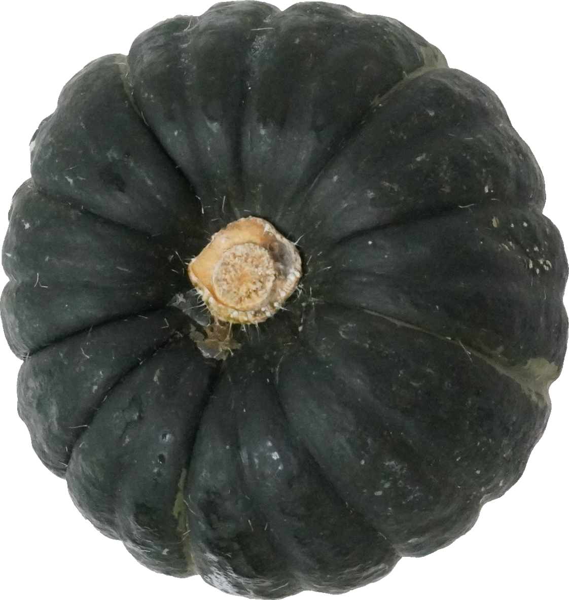 かぼちゃ｜商用可フリー画像・背景透過