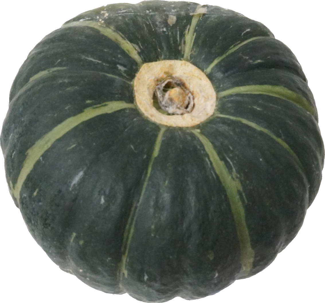 かぼちゃ｜商用可フリー画像・背景透過