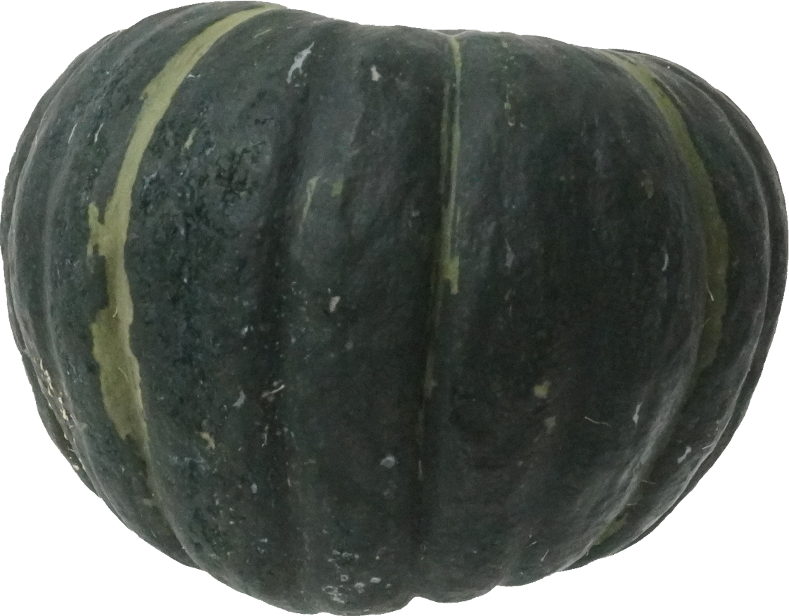 かぼちゃ｜商用可フリー画像・背景透過