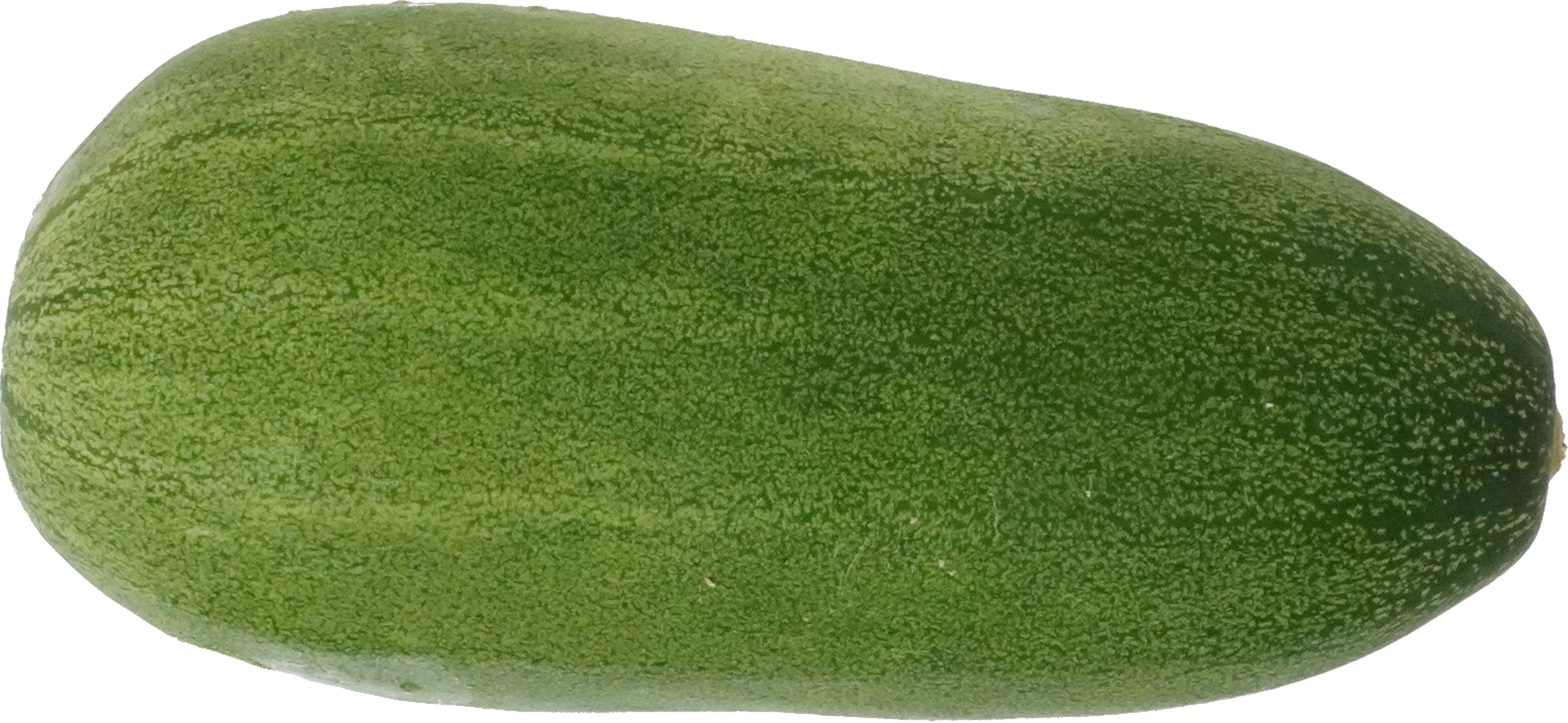 かりもり｜商用可フリー画像・背景透過