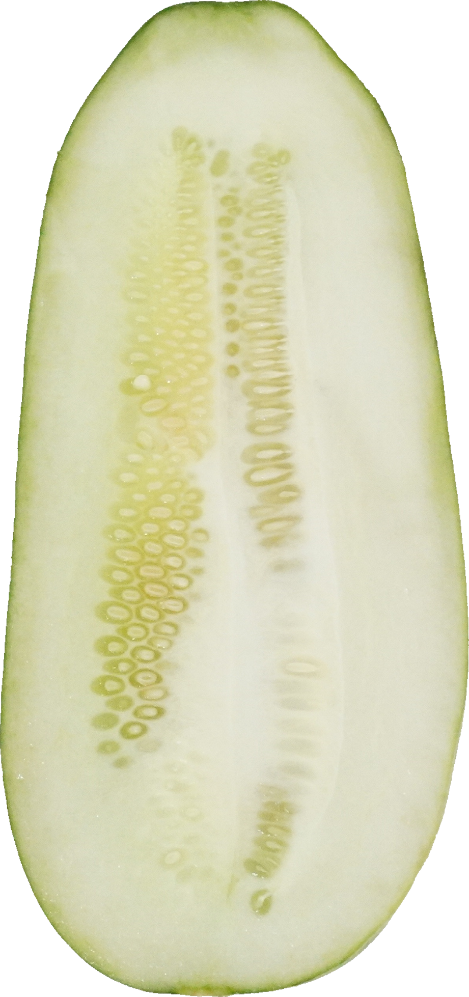 かりもり｜商用可フリー画像・背景透過