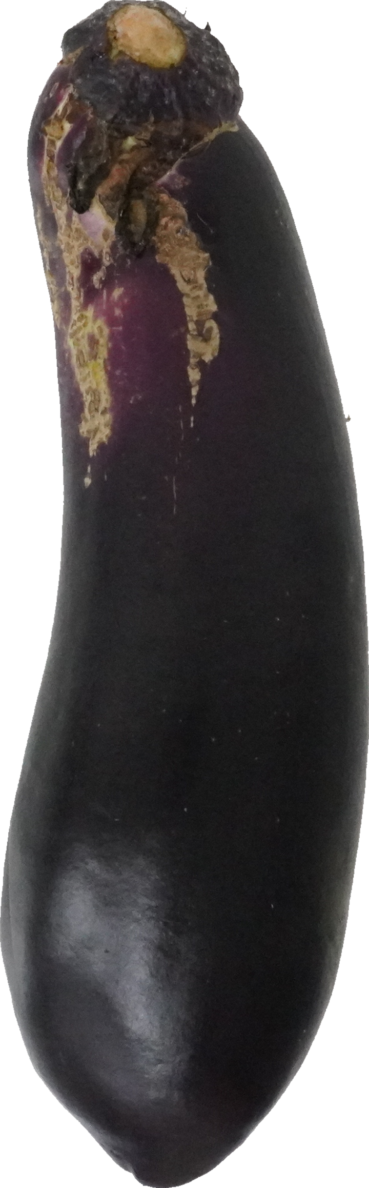 なす｜商用可フリー画像・背景透過