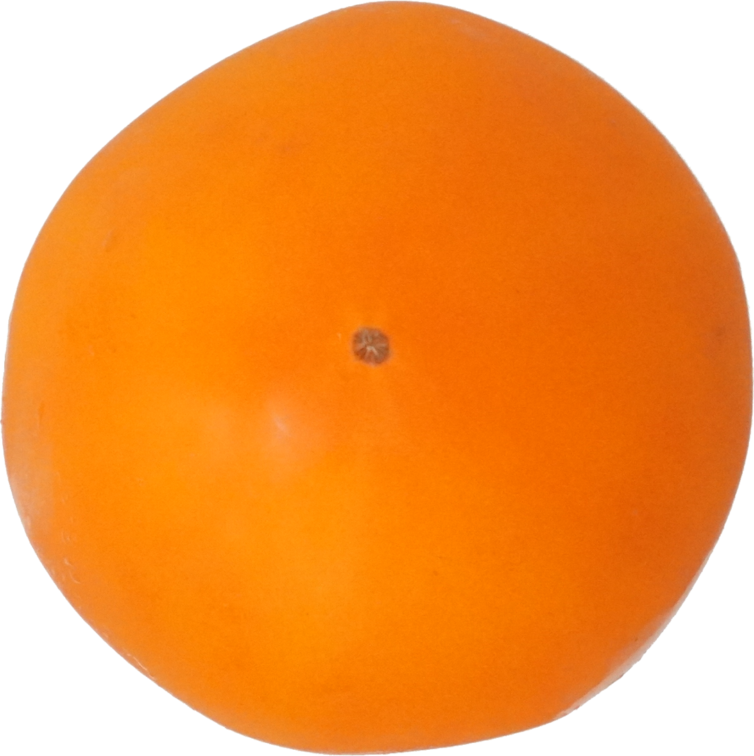 トマト｜商用可フリー画像・背景透過