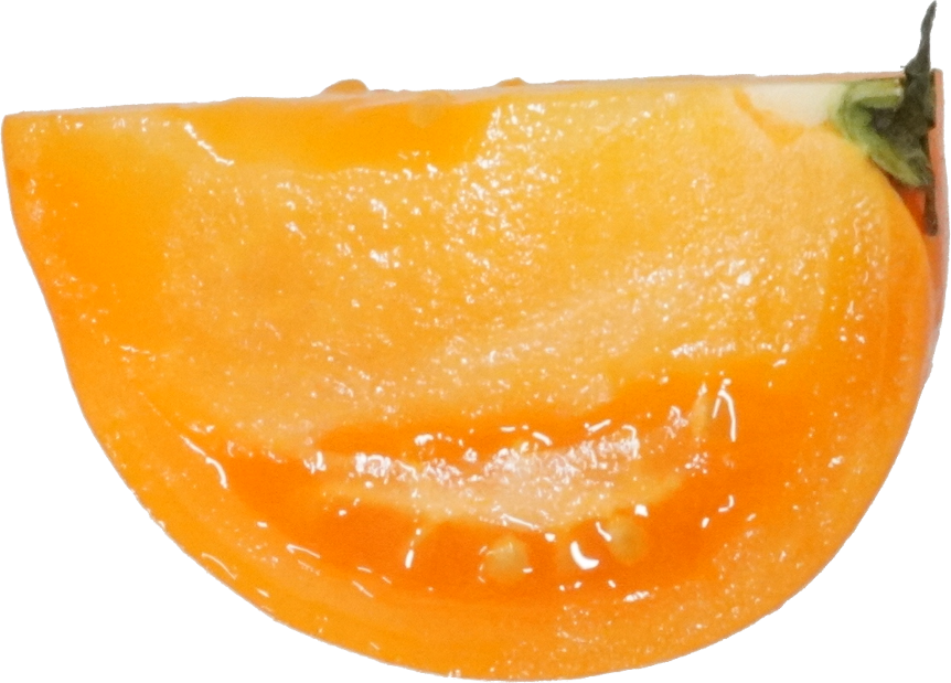 トマト｜商用可フリー画像・背景透過