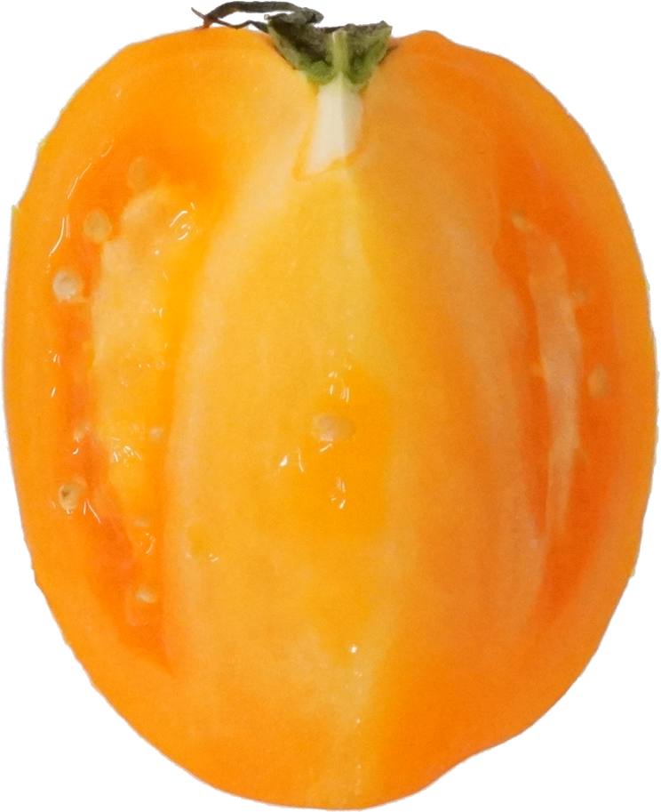 トマト｜商用可フリー画像・背景透過