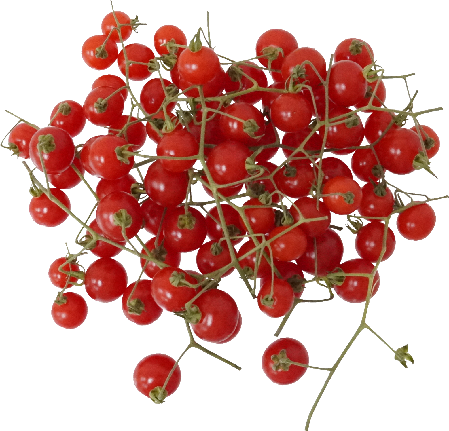 マイクロトマト｜商用可フリー画像・背景透過