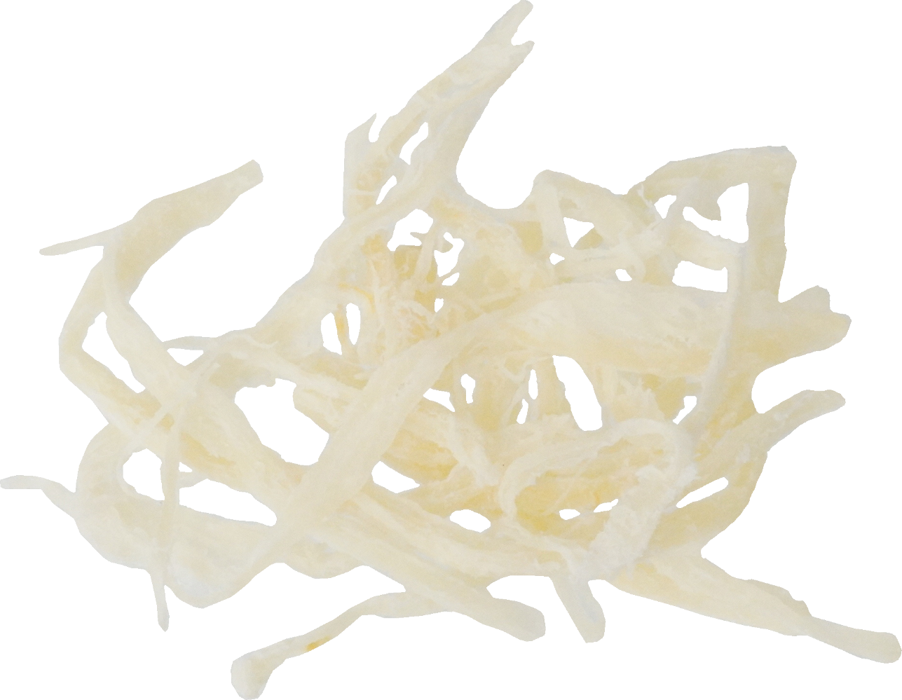 さきいか｜商用可フリー画像・背景透過