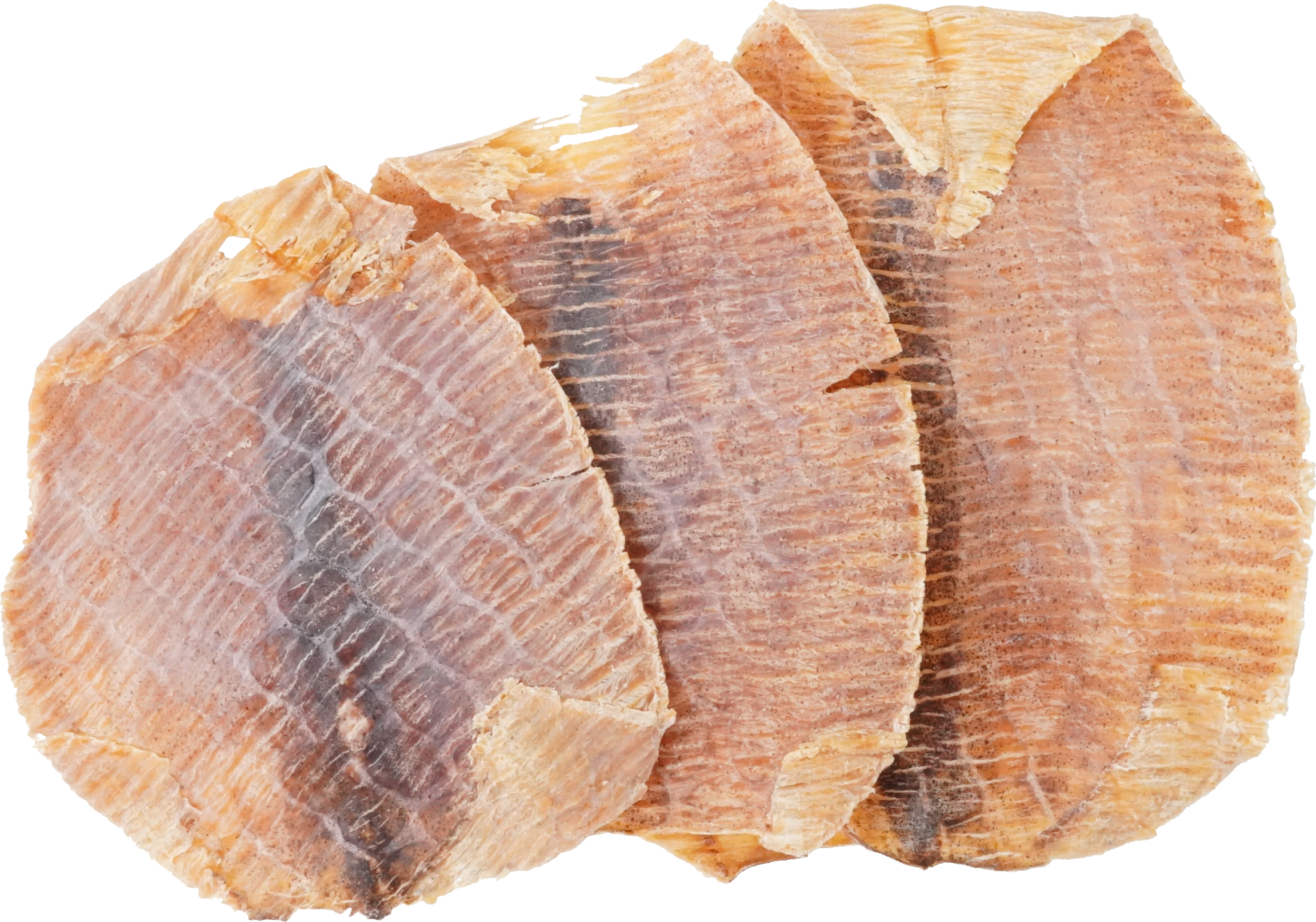 するめ｜商用可フリー画像・背景透過