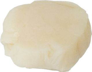 ほたてがい（貝柱・水煮缶詰）｜商用可フリー画像・背景透過