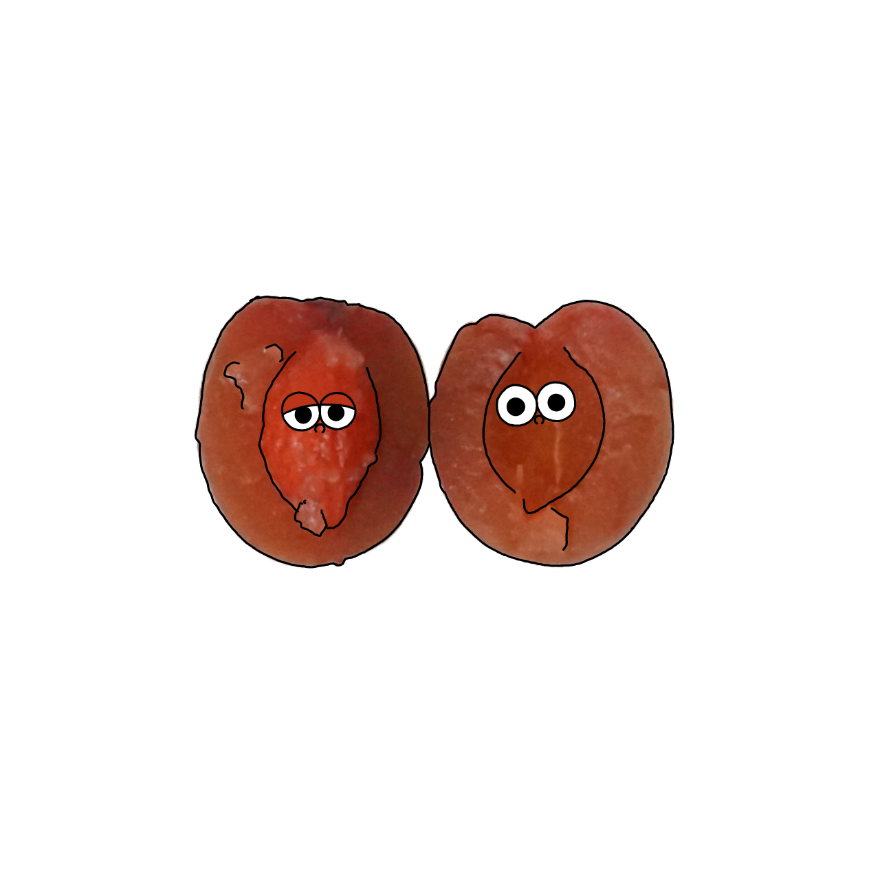 うめ（梅漬・調味漬）のイラスト｜商用可フリー画像・背景透過