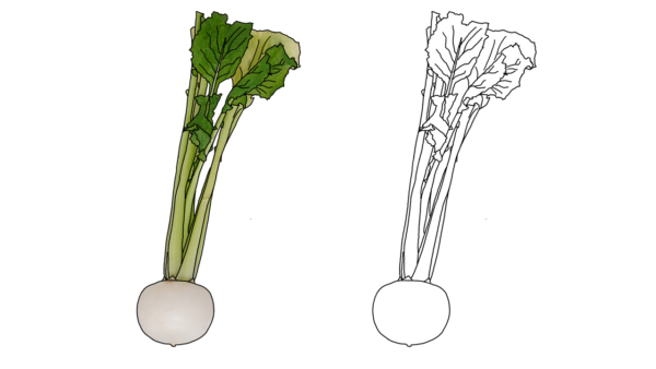 食べ物の塗り絵｜商用可フリー画像・背景透過