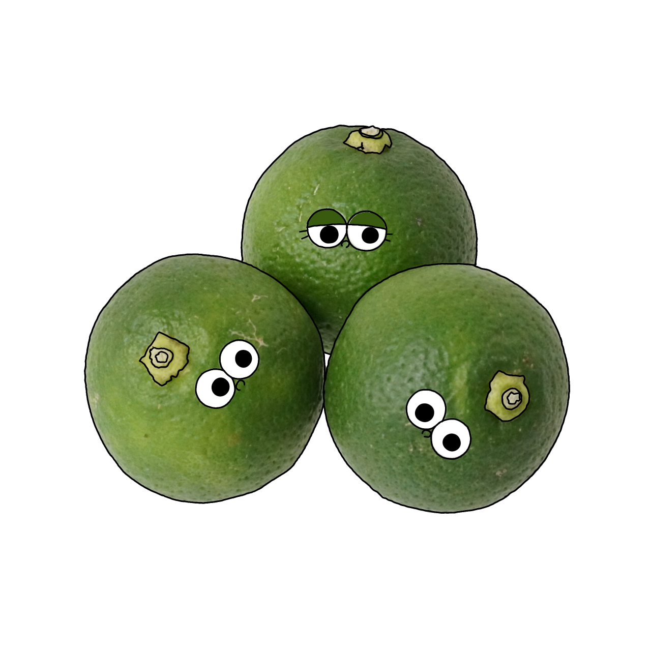 かぼすのイラスト｜商用可フリー画像・背景透過