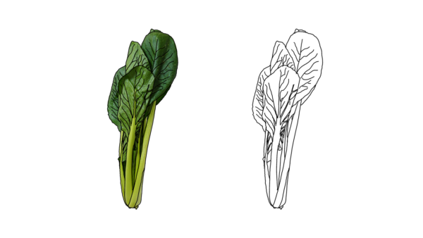 食べ物の塗り絵|商用可フリー画像・背景透過