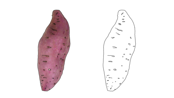 食べ物の塗り絵|商用可フリー画像・背景透過