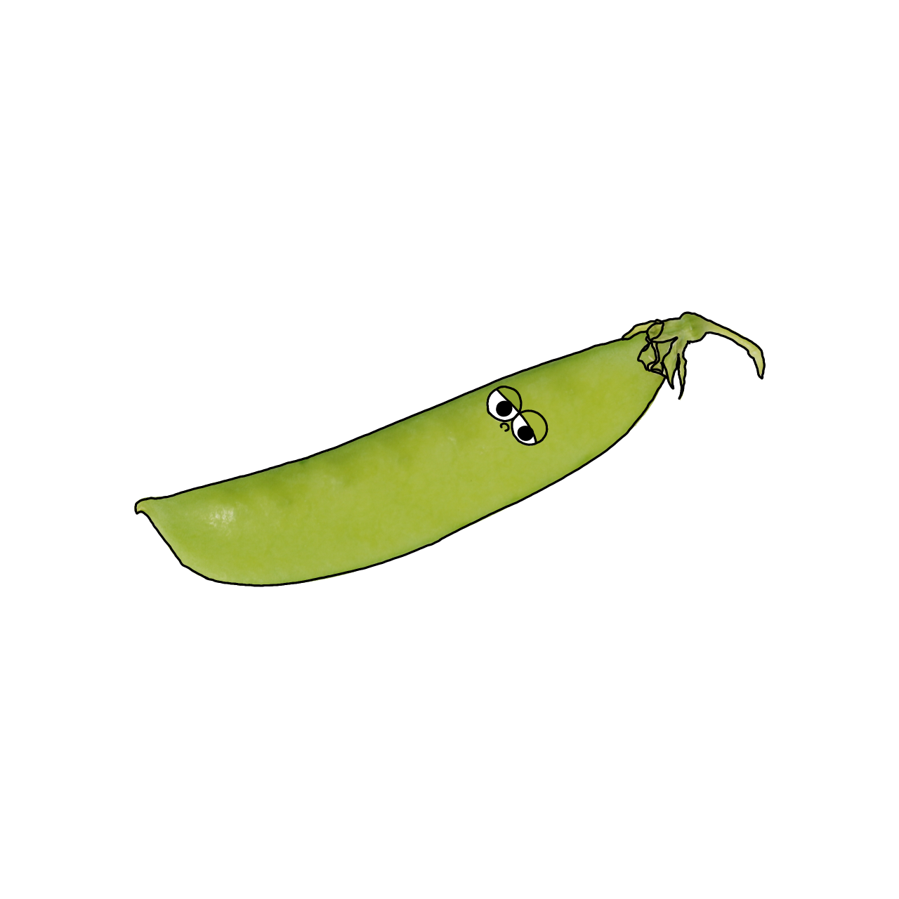 さやえんどうのイラスト｜商用可フリー画像・背景透過