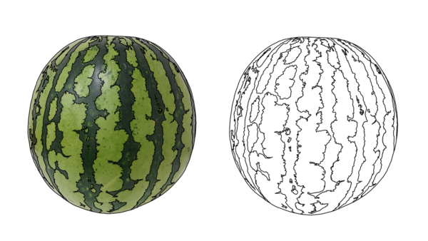 食べ物の塗り絵｜商用可フリー画像・背景透過