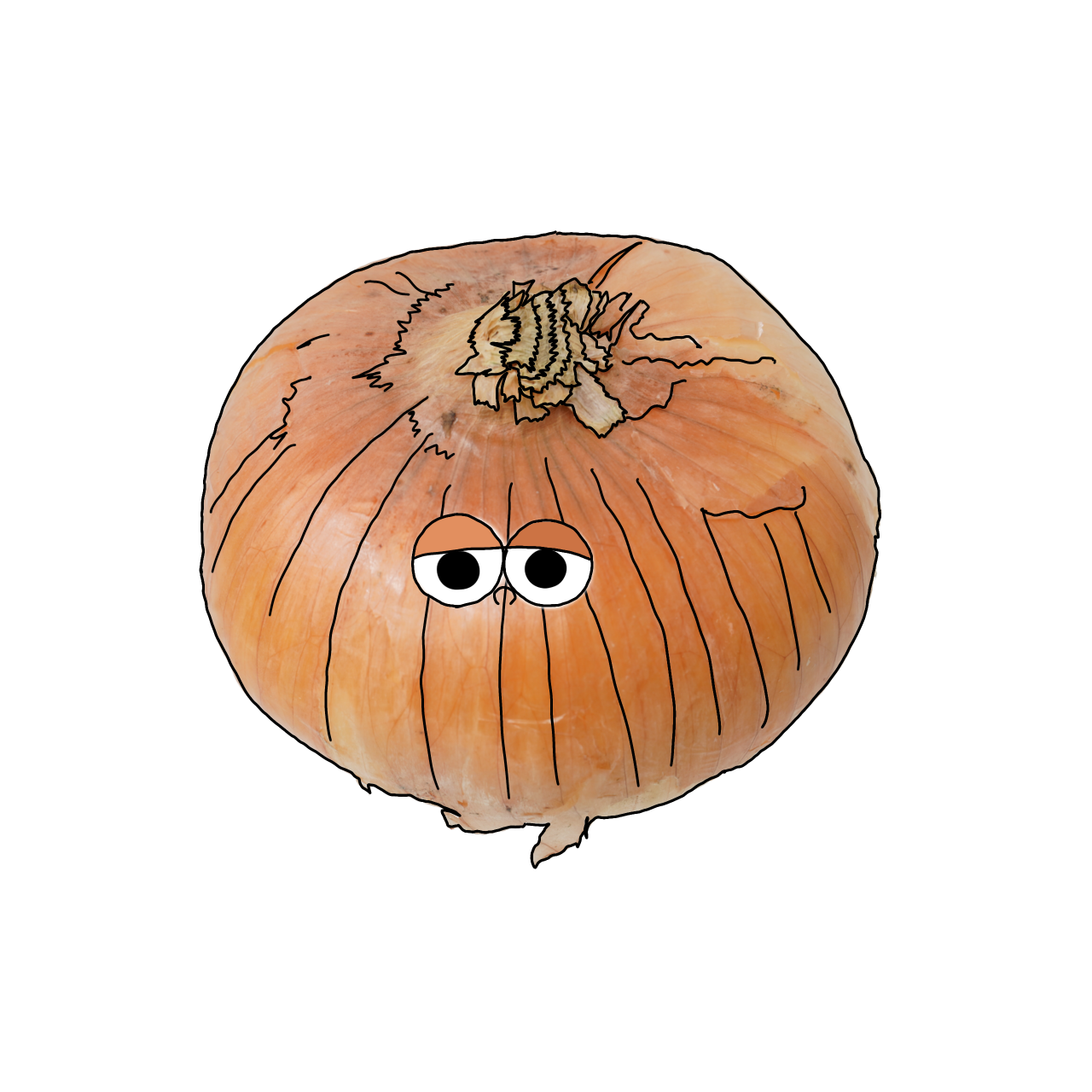 たまねぎのイラスト｜商用可フリー画像・背景透過