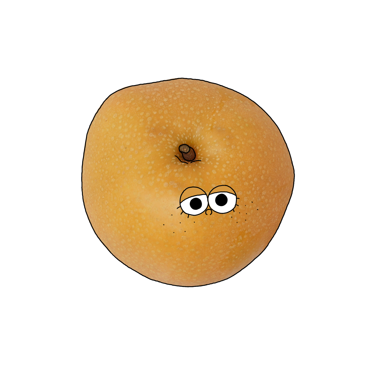 日本なしのイラスト｜商用可フリー画像・背景透過