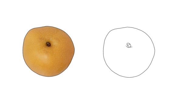 食べ物の塗り絵｜商用可フリー画像・背景透過