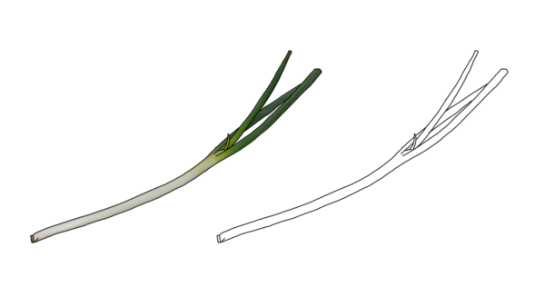 食べ物の塗り絵｜商用可フリー画像・背景透過