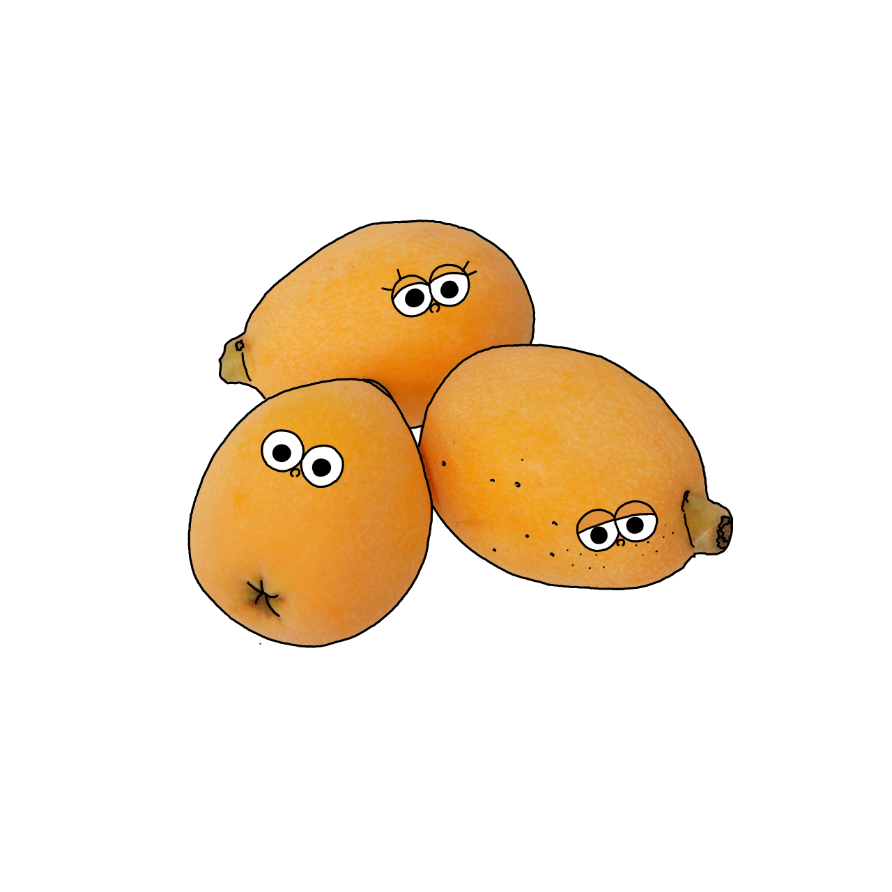 びわのイラスト｜商用可フリー画像・背景透過