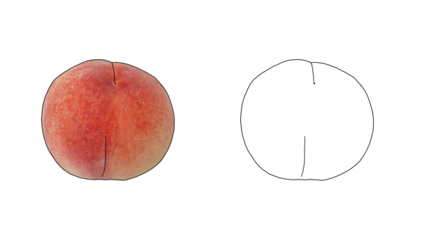 食べ物の塗り絵｜商用可フリー画像・背景透過