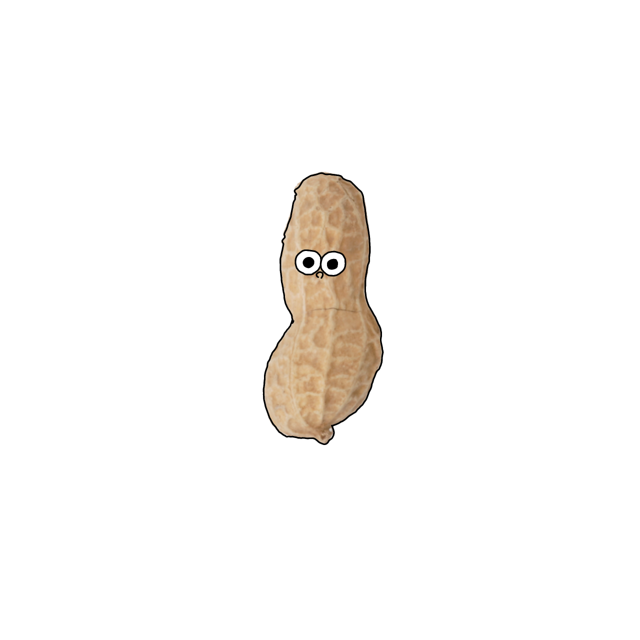 らっかせいのイラスト｜商用可フリー画像・背景透過