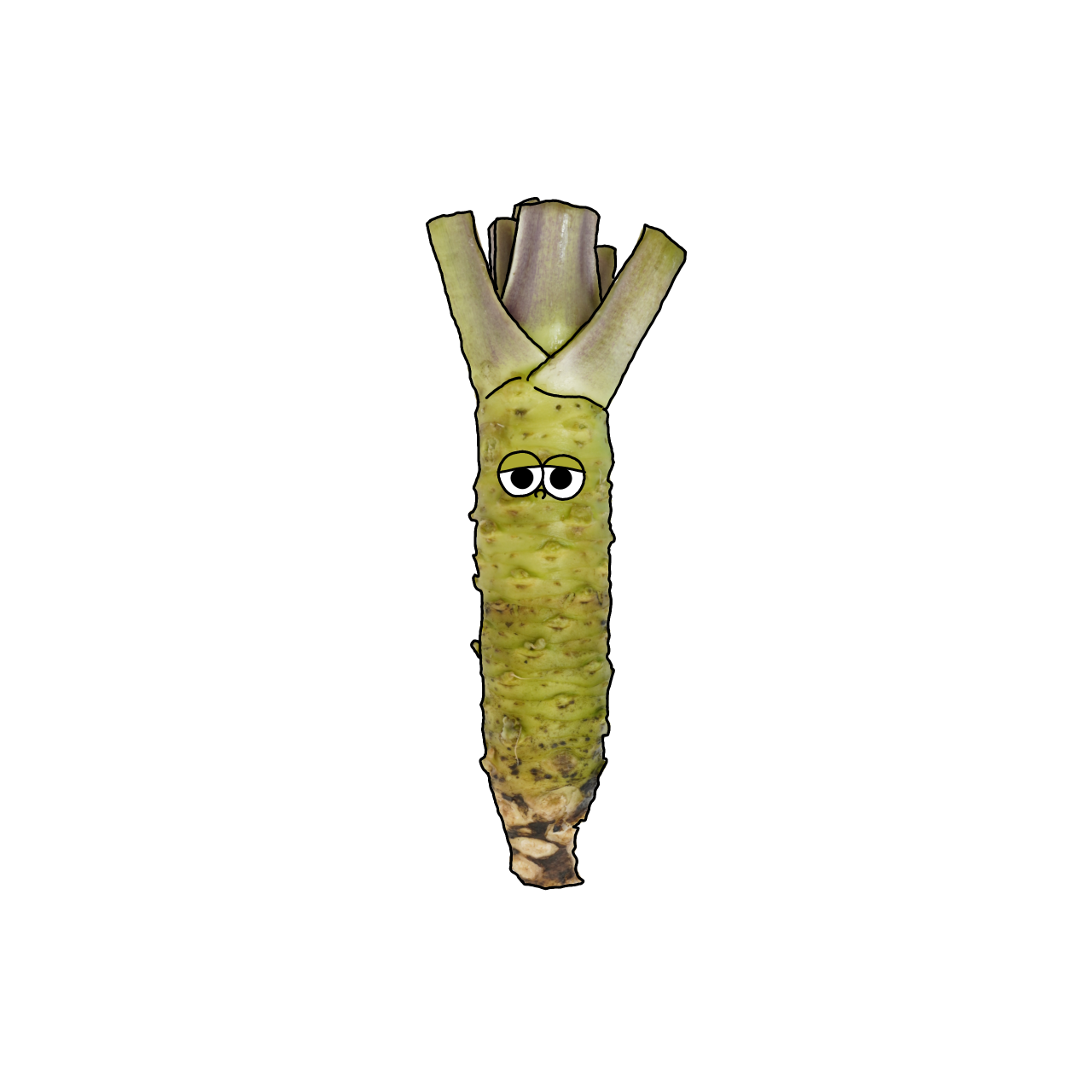 わさびのイラスト｜商用可フリー画像・背景透過