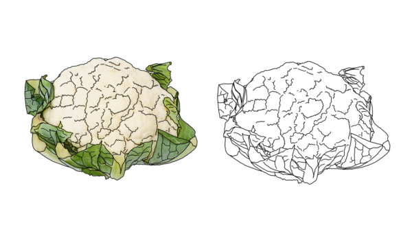 食べ物の塗り絵｜商用可フリー画像・背景透過