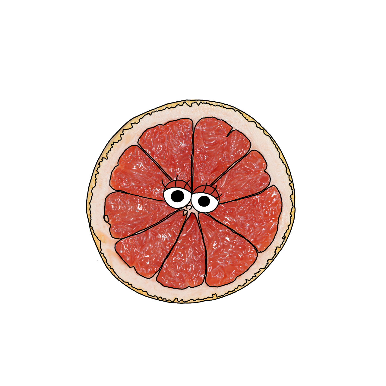 グレープフルーツ（ピンク）のイラスト｜商用可フリー画像・背景透過