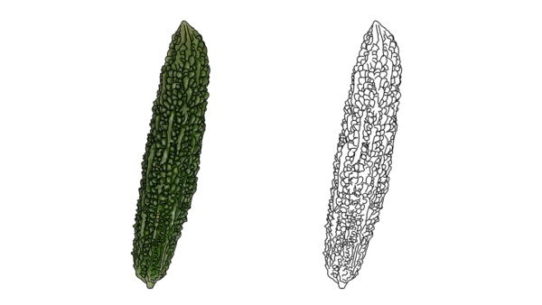 食べ物の塗り絵｜商用可フリー画像・背景透過