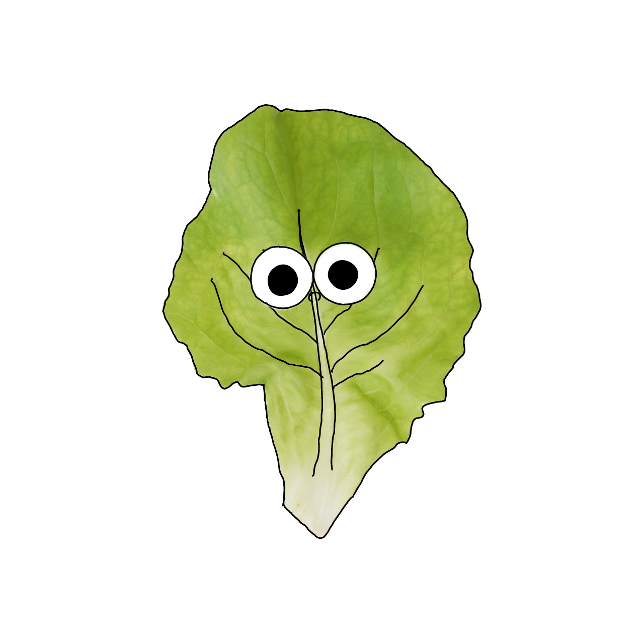 サラダなのイラスト｜商用可フリー画像・背景透過