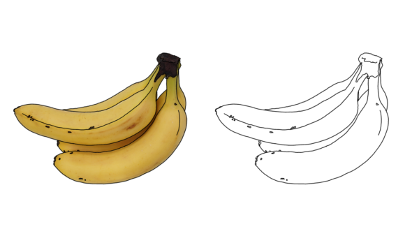 食べ物の塗り絵｜商用可フリー画像・背景透過