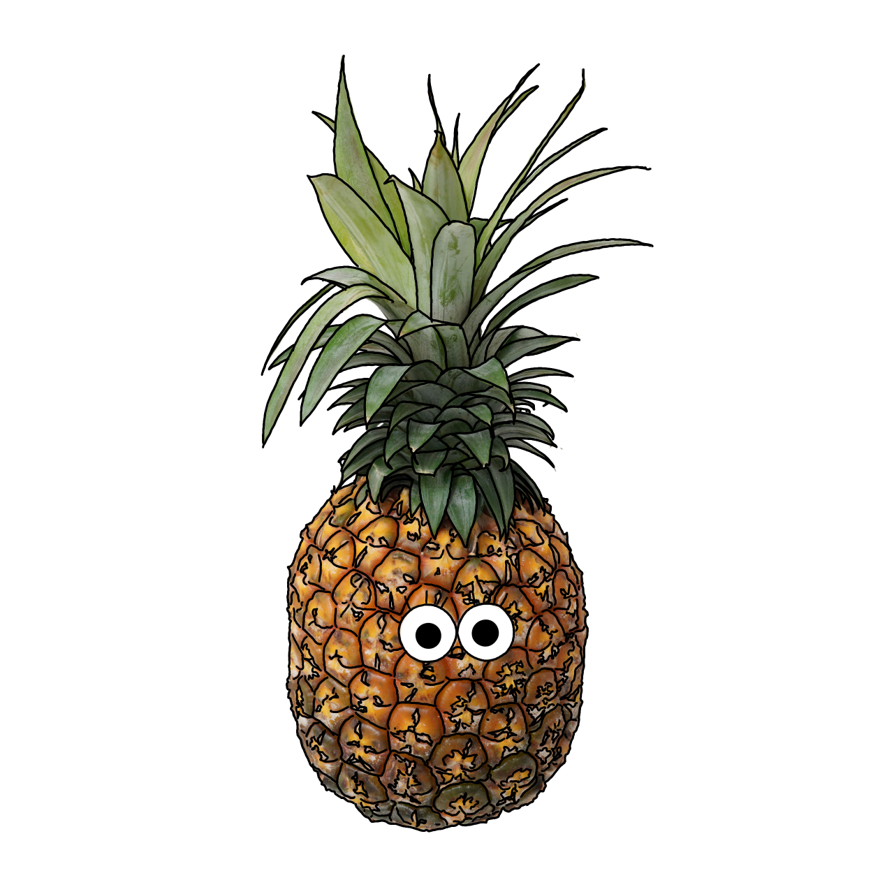 パインアップル（ゴールドバレル）のイラスト｜商用可フリー画像・背景透過